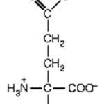 iestructura molecular del ácido glutámico iestructura molecular del ácido glutámico