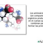 estructura molecular de la taurina estructura molecular de la taurina