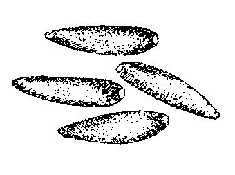 image004