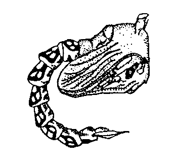 image008