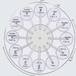 procesador de tejidos