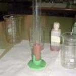 EXTRACCIÓN DE ADN