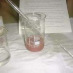 EXTRACCIÓN DE ADN