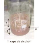 EXTRACCIÓN DE ADN