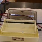 ELECTROFORESIS DE PROTEÍNAS