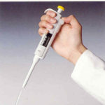 ELECTROFORESIS DE PROTEÍNAS