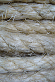 sisal
