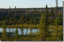 image013