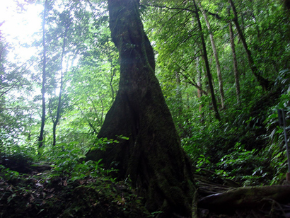 image021
