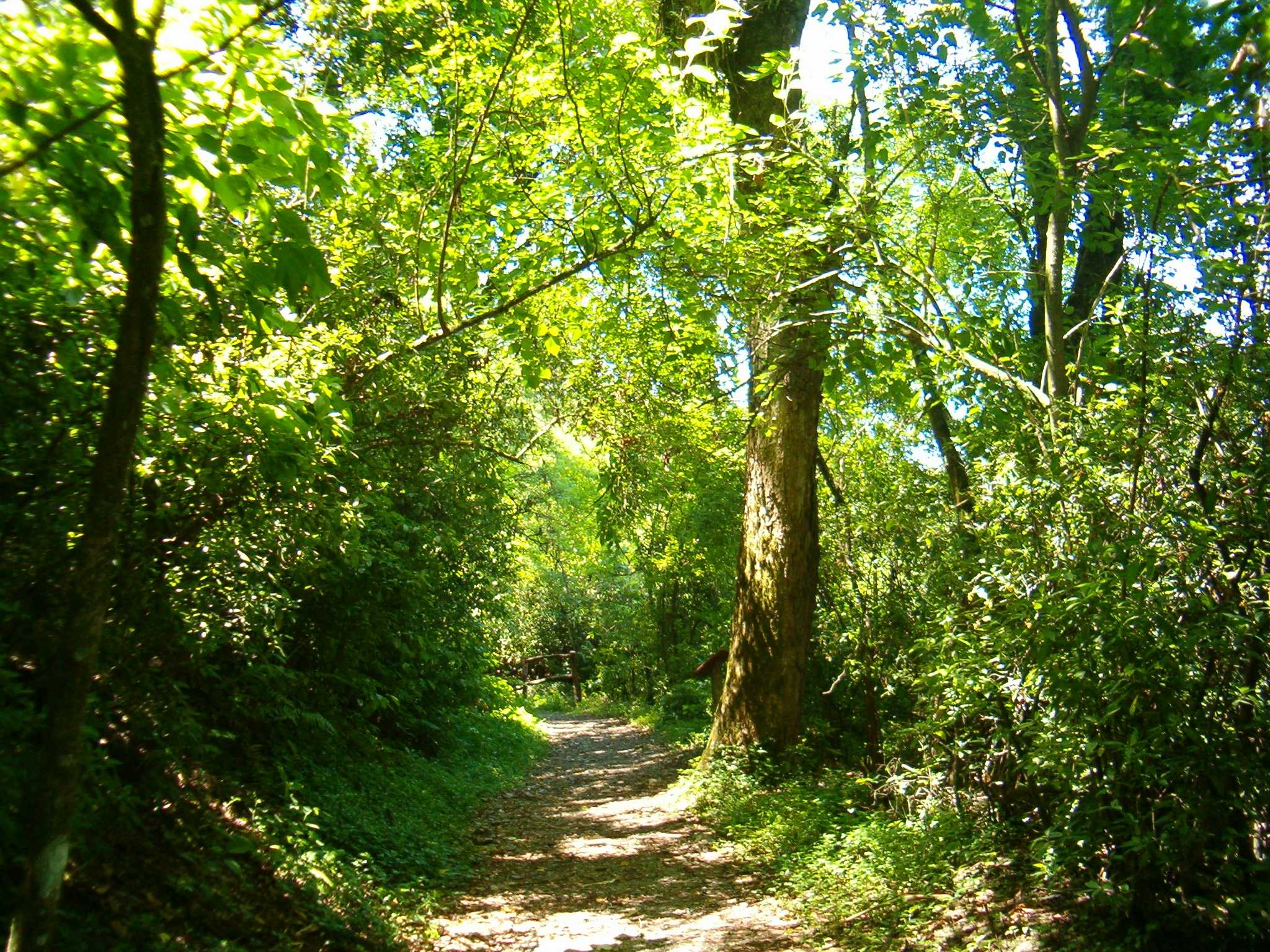 image023