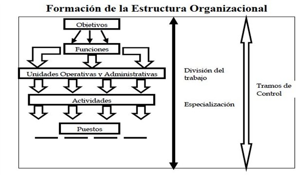 Estructura organizacional | Webscolar